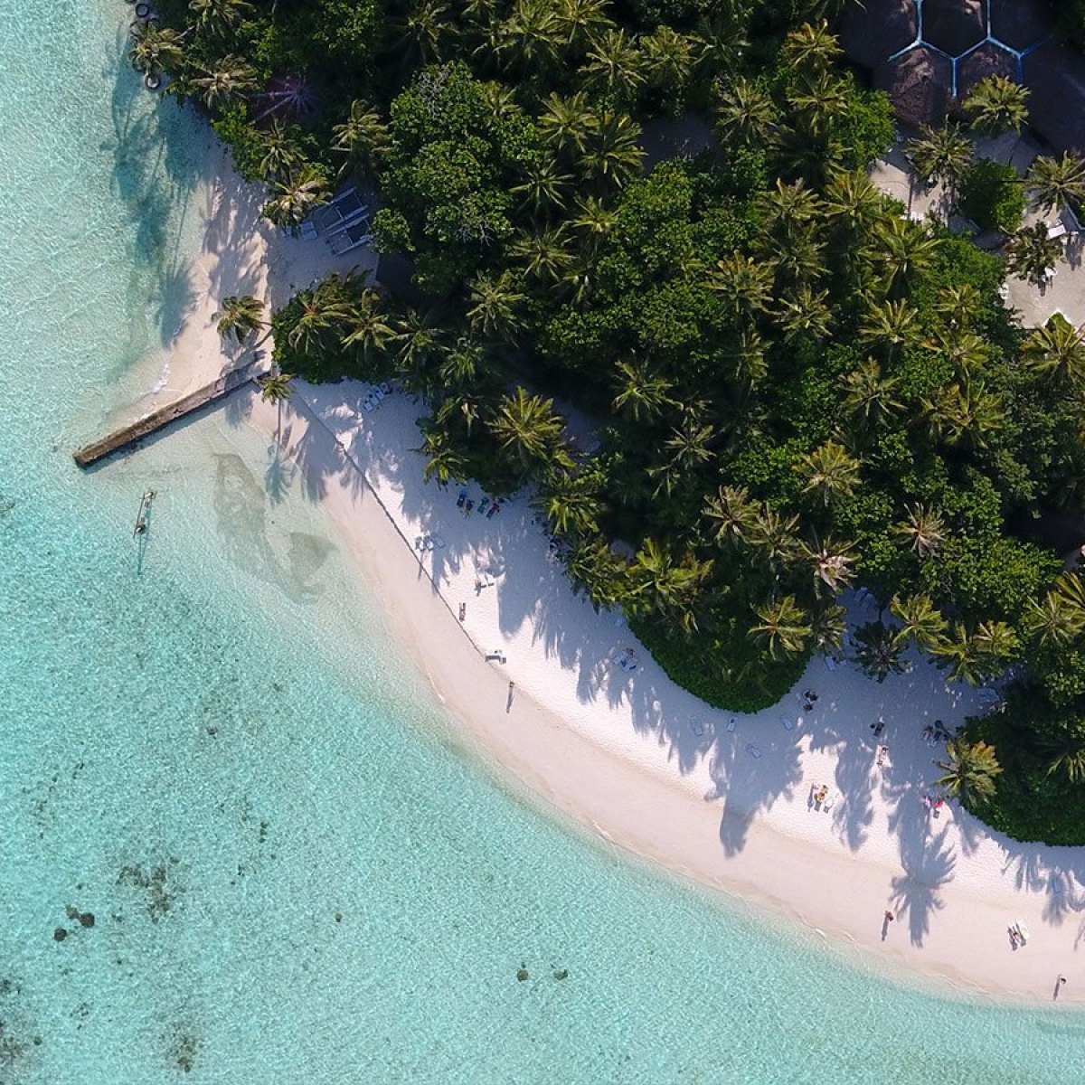 Biyadhoo Island Resort Мальдивы Календарь Цен Бронируйте дешевле