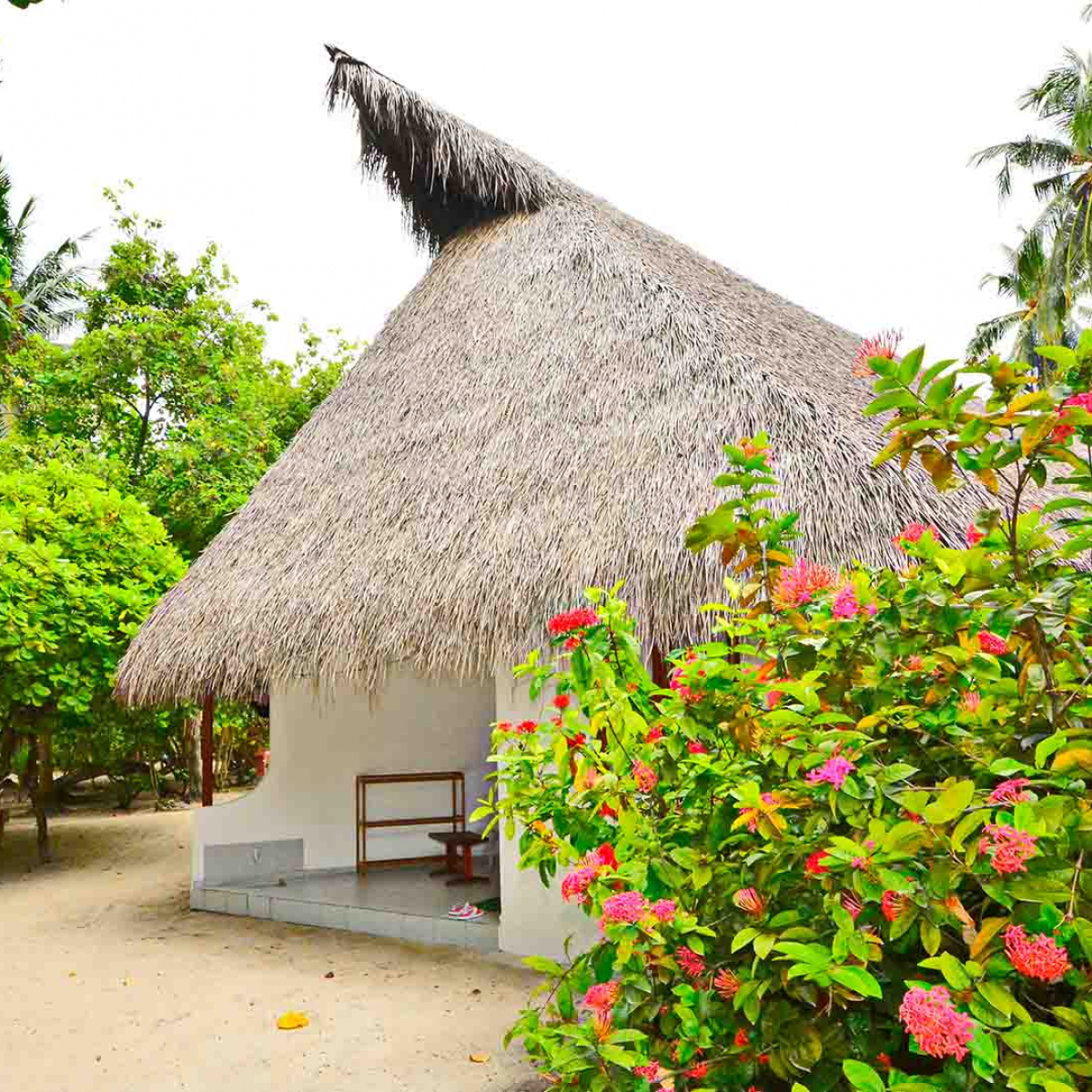 Fihalhohi Island Resort, Maldives - Wiotto.com