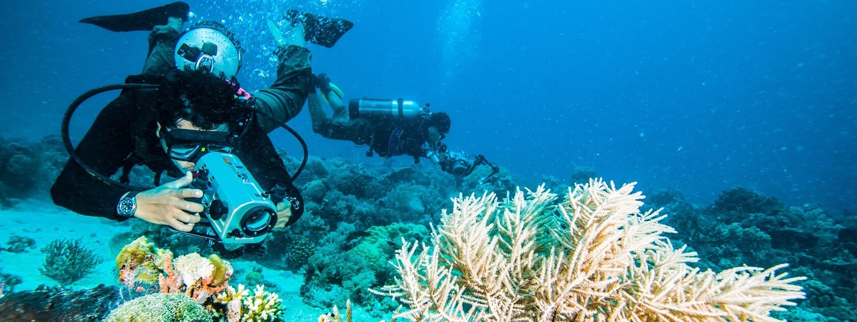 Les coraux aux Maldives - choisir un hôtel récifal