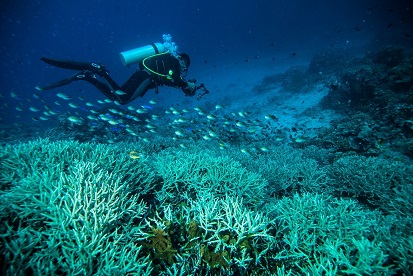 Diving in Bali: the best dive sites, prices, courses, seasons