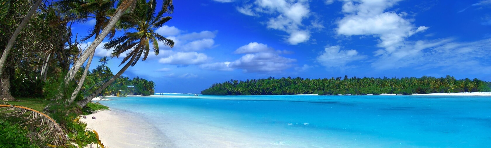 Diving in Tahiti
