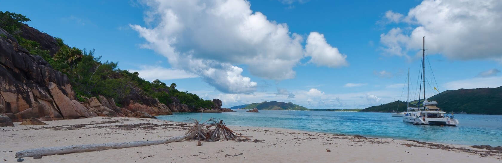 Tortues géantes aux Seychelles : comment et où les voir