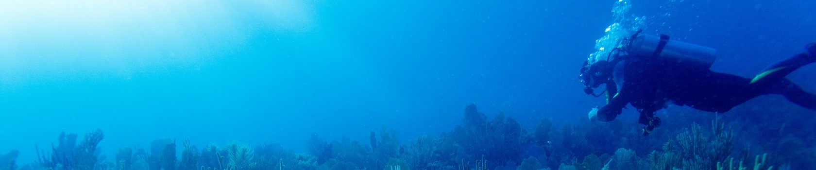 Diving in Indonesia: which islands have the best underwater world