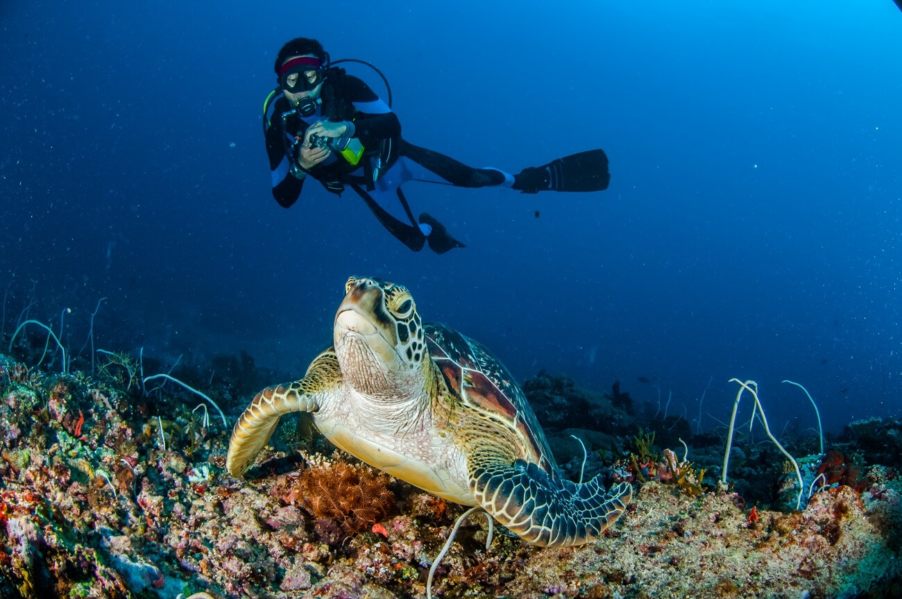 Diving in Indonesia: which islands have the best underwater world