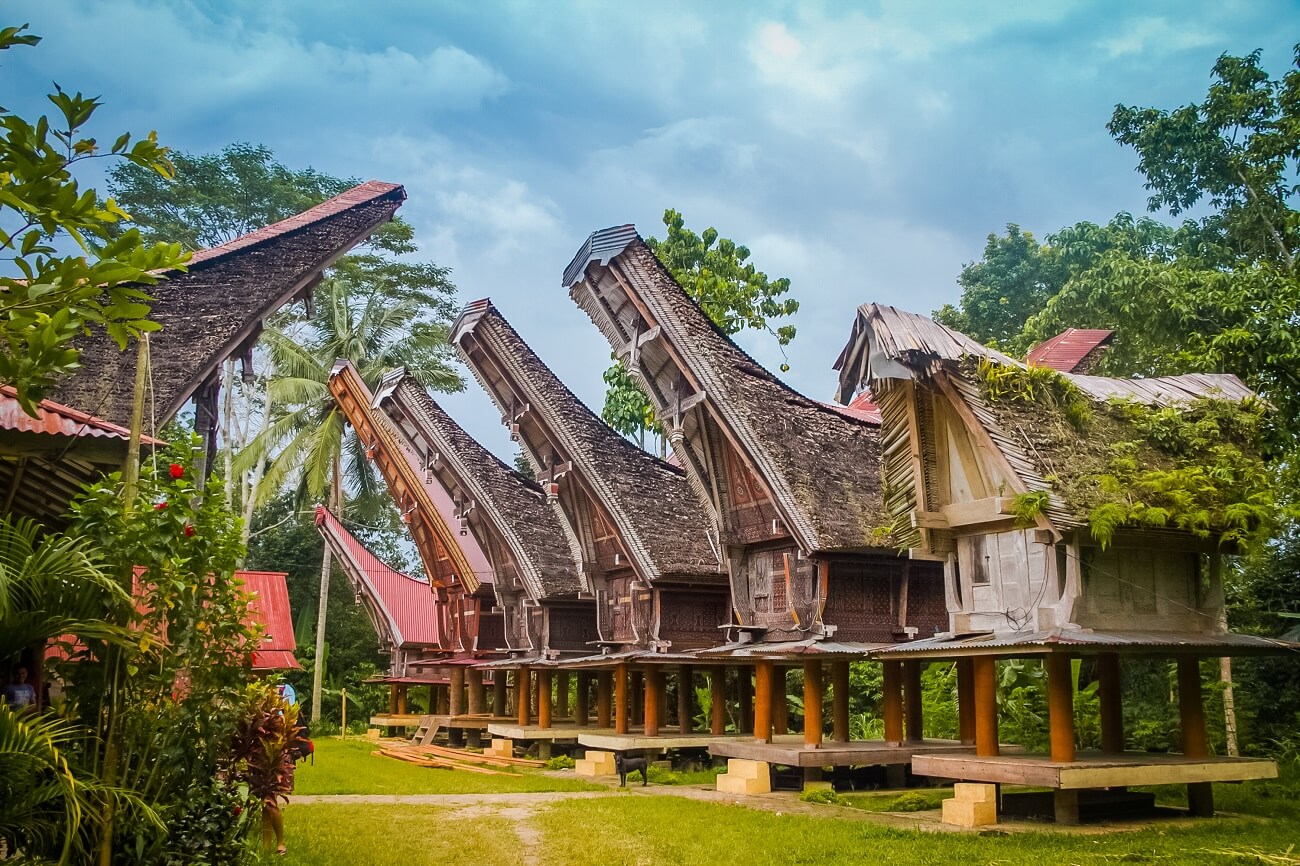Остров Сулавеси в Индонезии: все об отдыхе