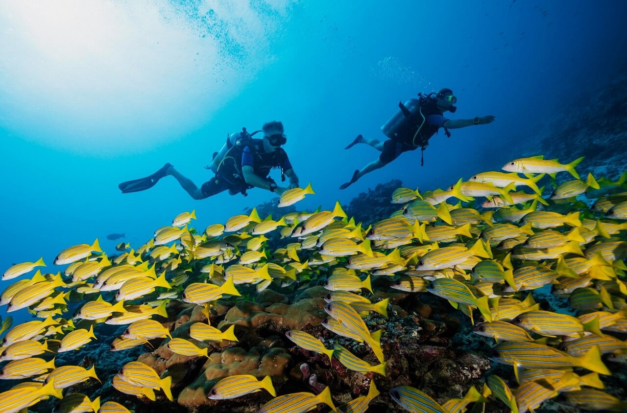 Best dive centers in Maldives