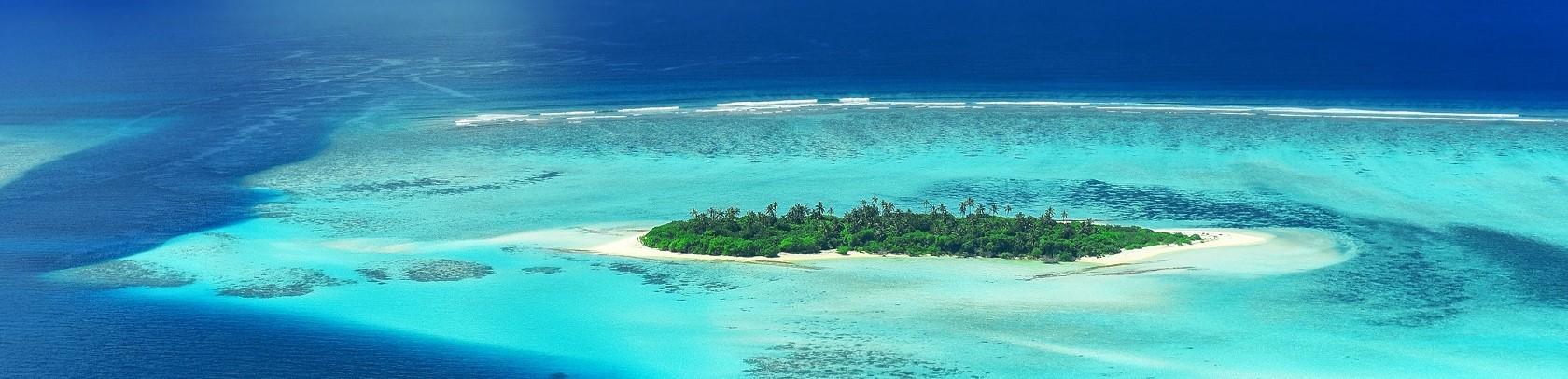 Best dive sites in the Maldives