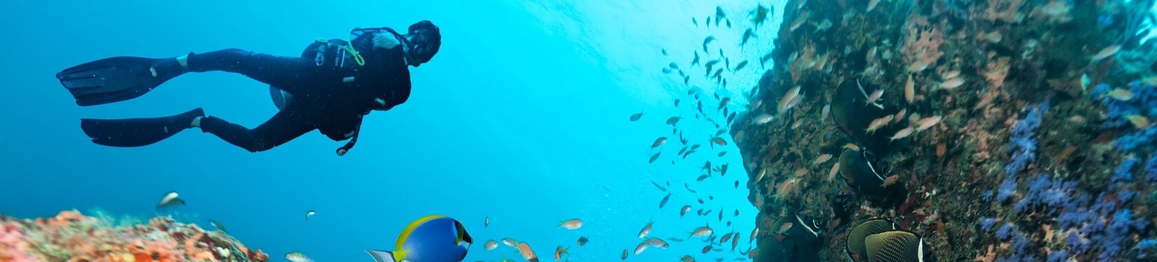 Les meilleurs hôtels des Maldives pour débuter en plongée