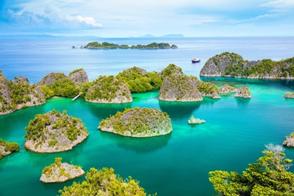 Réserve animalière de Misool à Raja Ampat , Indonésie