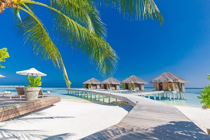 Pet-friendly hotels in the Maldives: for staying with animals