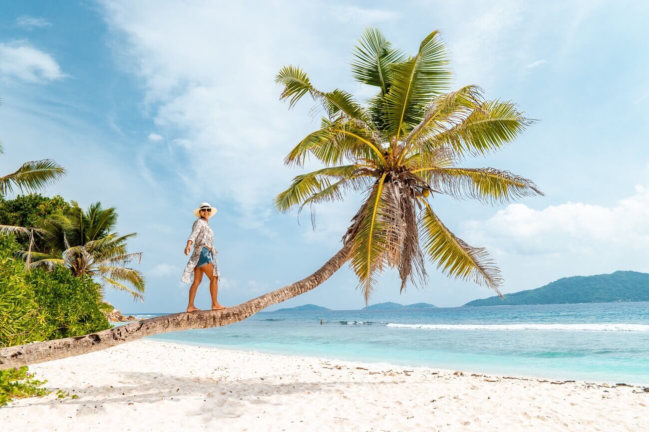 Seychelles for Christmas and New Year: how it all happens
