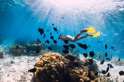 Snorkeling in Indonesia: choosing the best time and place