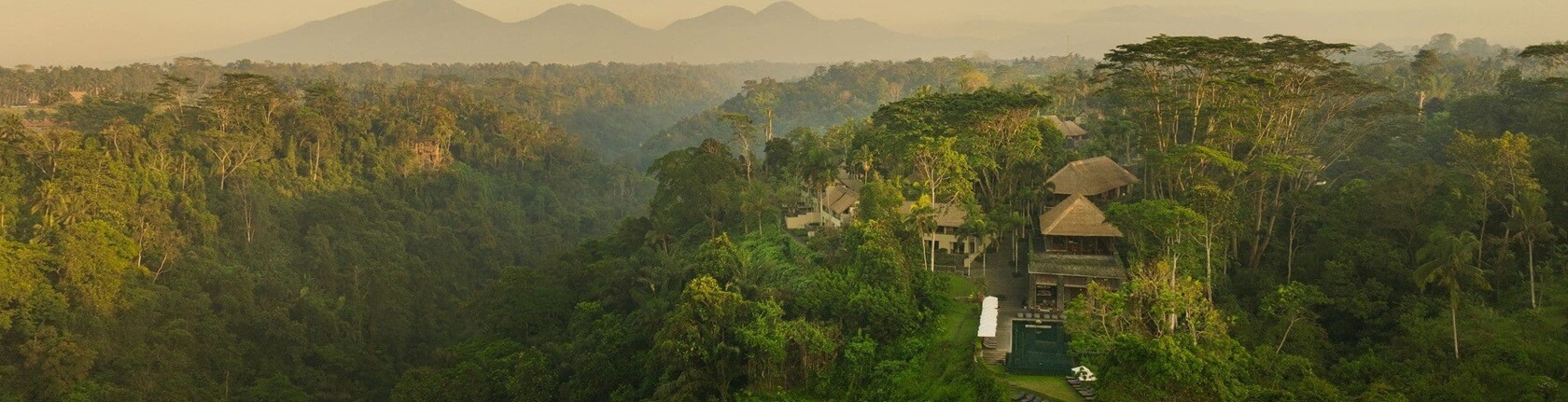 Bali hotels in the jungle: 10 most beautiful