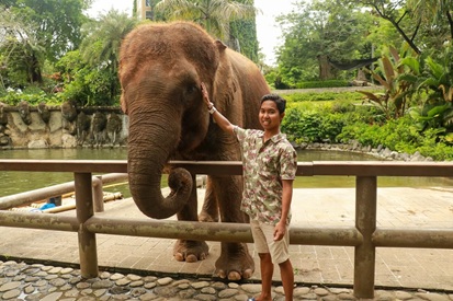 Bali Elephant Park: Why You Should Visit, Offers, and Prices