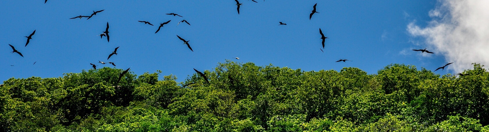 Остров Фрегат на Сейшелах - история, природа и туризм