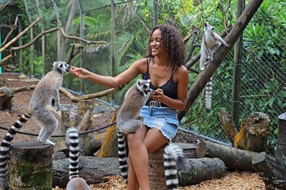 La Vanille Nature Park in Mauritius: everything about visiting, prices, and what to see