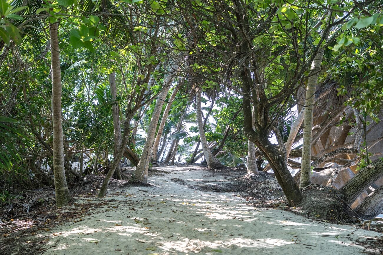Veuve Reserve on La Digue Island: how to visit and what to see